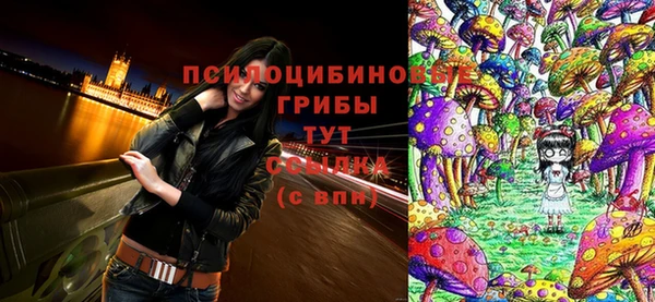 спиды Алзамай