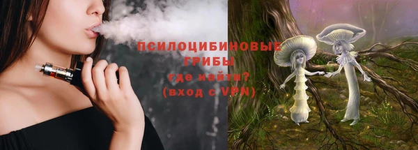 a pvp Осинники