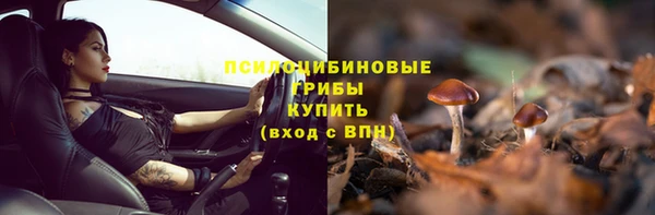 ГАЛЛЮЦИНОГЕННЫЕ ГРИБЫ Алексин