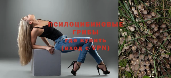 дживик Алексеевка