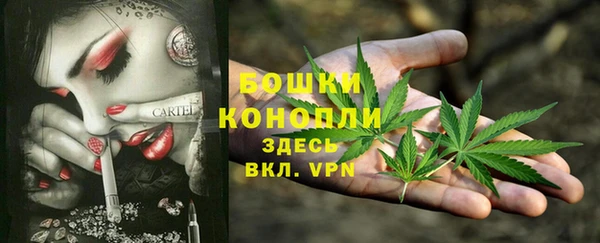 ГАЛЛЮЦИНОГЕННЫЕ ГРИБЫ Алексин
