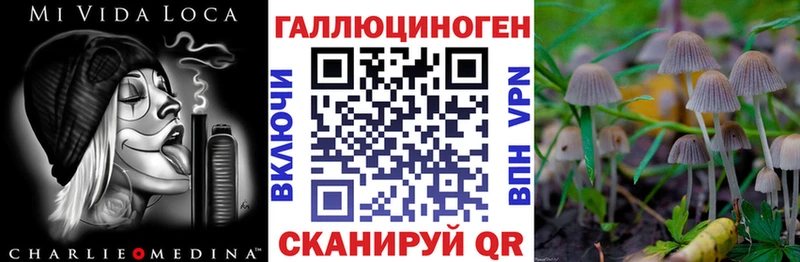 маркетплейс как зайти  Кириши  Псилоцибиновые грибы Psilocybine cubensis 